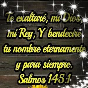 Meet your Posher, Wanda